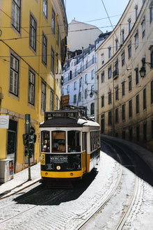 Auto & Travel